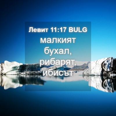 Picture 04 - Левит 11:17 BULG - малкият бухал, рибарят, - Bible Verse Picture