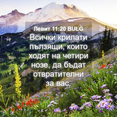 Picture 04 - Левит 11:20 BULG - Всички крилати пълзящи, - Bible Verse Picture