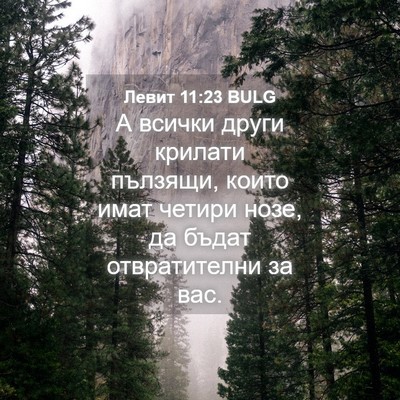 Picture 04 - Левит 11:23 BULG - А всички други крилати - Bible Verse Picture