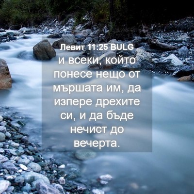 Picture 04 - Левит 11:25 BULG - и всеки, който понесе нещо - Bible Verse Picture
