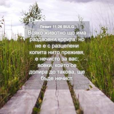 Picture 04 - Левит 11:26 BULG - Всяко животно що има - Bible Verse Picture