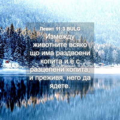 Picture 04 - Левит 11:3 BULG - Измежду животните всяко що - Bible Verse Picture