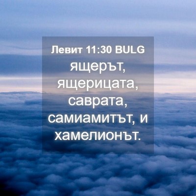 Picture 04 - Левит 11:30 BULG - ящерът, ящерицата, саврата, - Bible Verse Picture