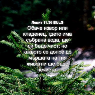 Picture 04 - Левит 11:36 BULG - Обаче извор или кладенец, - Bible Verse Picture