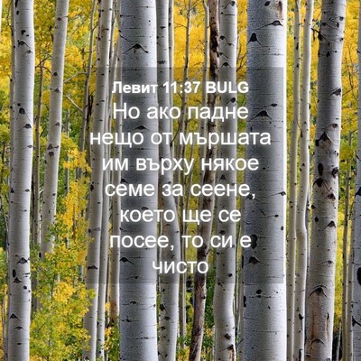 Picture 04 - Левит 11:37 BULG - Но ако падне нещо от - Bible Verse Picture