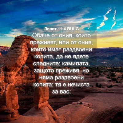 Picture 04 - Левит 11:4 BULG - Обаче от ония, които - Bible Verse Picture