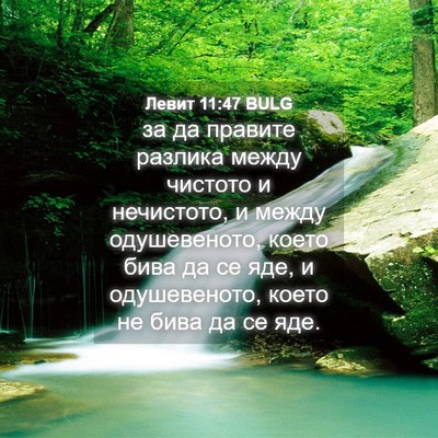 Picture 04 - Левит 11:47 BULG - за да правите разлика - Bible Verse Picture