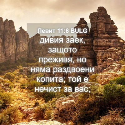 Picture 04 - Левит 11:6 BULG - дивия заек, защото преживя, - Bible Verse Picture