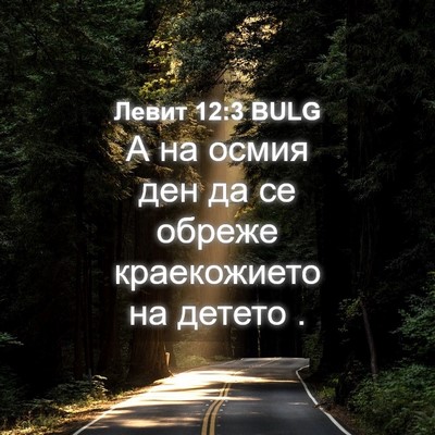 Picture 04 - Левит 12:3 BULG - А на осмия ден да се обреже - Bible Verse Picture