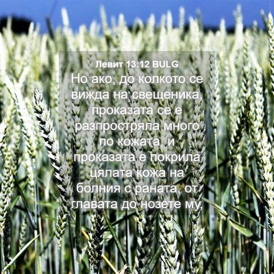Picture 04 - Левит 13:12 BULG - Но ако, до колкото се вижда - Bible Verse Picture