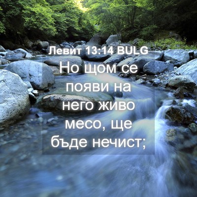 Picture 04 - Левит 13:14 BULG - Но щом се появи на него - Bible Verse Picture
