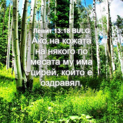 Picture 04 - Левит 13:18 BULG - Ако на кожата на някого по - Bible Verse Picture