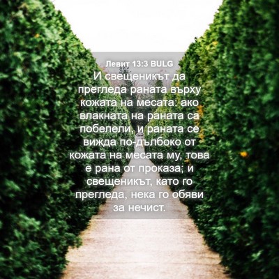 Picture 04 - Левит 13:3 BULG - И свещеникът да прегледа - Bible Verse Picture