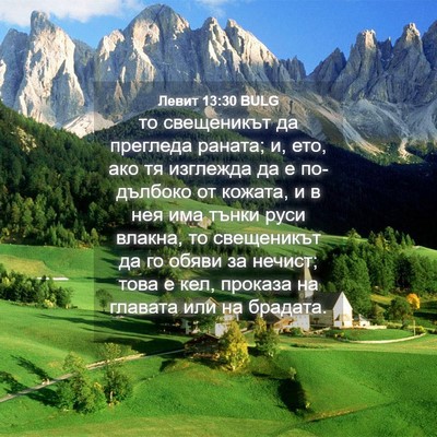 Picture 04 - Левит 13:30 BULG - то свещеникът да прегледа - Bible Verse Picture