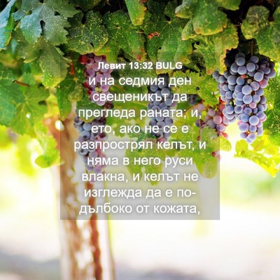 Picture 04 - Левит 13:32 BULG - и на седмия ден свещеникът - Bible Verse Picture