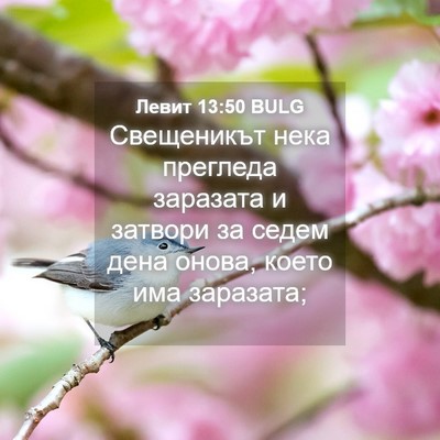 Picture 04 - Левит 13:50 BULG - Свещеникът нека прегледа - Bible Verse Picture