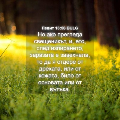 Picture 04 - Левит 13:56 BULG - Но ако прегледа - Bible Verse Picture