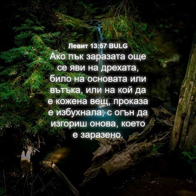 Picture 04 - Левит 13:57 BULG - Ако пък заразата още се яви - Bible Verse Picture