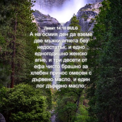 Picture 04 - Левит 14:10 BULG - А на осмия ден да вземе две - Bible Verse Picture