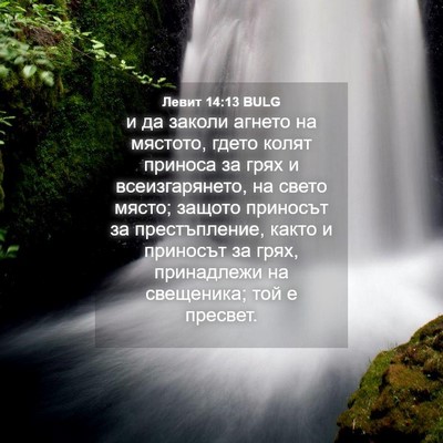 Picture 04 - Левит 14:13 BULG - и да заколи агнето на - Bible Verse Picture
