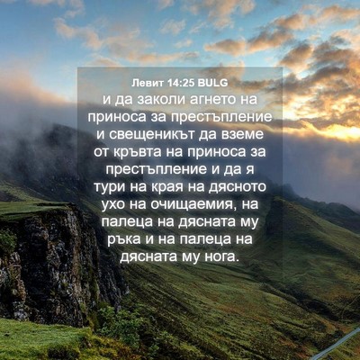 Picture 04 - Левит 14:25 BULG - и да заколи агнето на - Bible Verse Picture