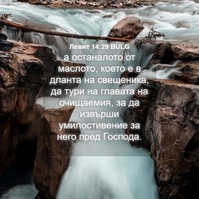 Picture 04 - Левит 14:29 BULG - а останалото от маслото, - Bible Verse Picture