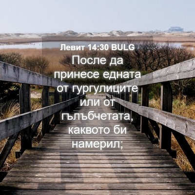 Picture 04 - Левит 14:30 BULG - После да принесе едната от - Bible Verse Picture