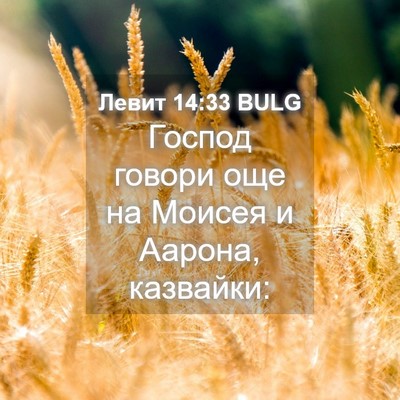 Picture 04 - Левит 14:33 BULG - Господ говори още на - Bible Verse Picture