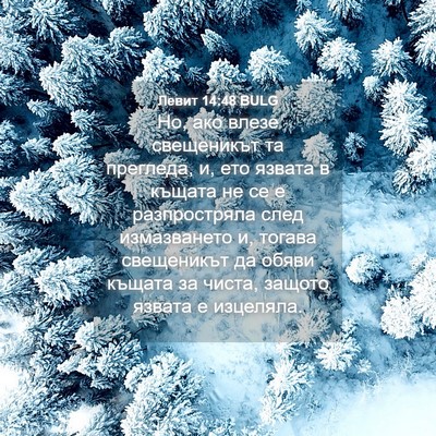 Picture 04 - Левит 14:48 BULG - Но, ако влезе свещеникът та - Bible Verse Picture