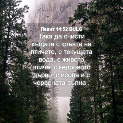 Picture 04 - Левит 14:52 BULG - Така да очисти къщата с - Bible Verse Picture