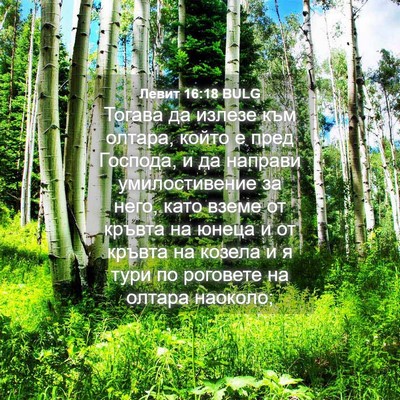 Picture 04 - Левит 16:18 BULG - Тогава да излезе към - Bible Verse Picture