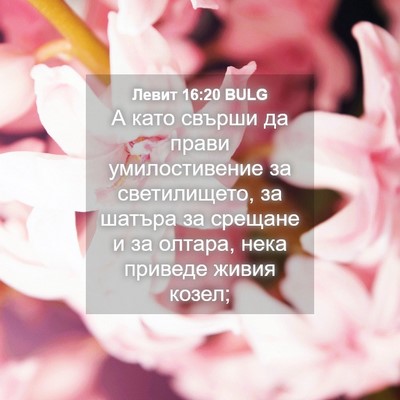Picture 04 - Левит 16:20 BULG - А като свърши да прави - Bible Verse Picture