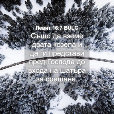 Picture 04 - Левит 16:7 BULG - Също да вземе двата козела - Bible Verse Picture