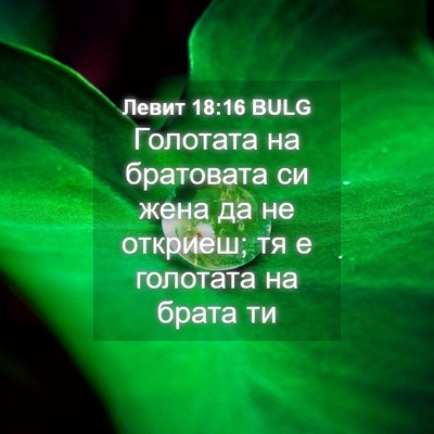 Picture 04 - Левит 18:16 BULG - Голотата на братовата си - Bible Verse Picture