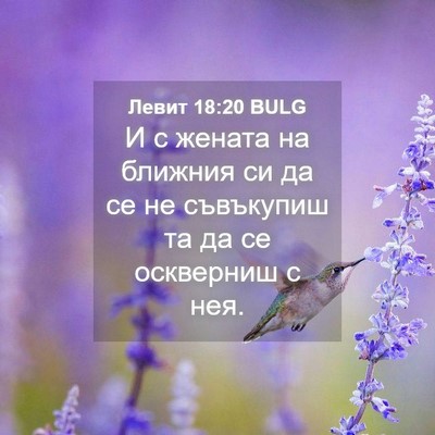 Picture 04 - Левит 18:20 BULG - И с жената на ближния си да - Bible Verse Picture