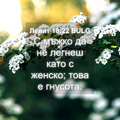 Picture 04 - Левит 18:22 BULG - С мъжко да не легнеш като с - Bible Verse Picture