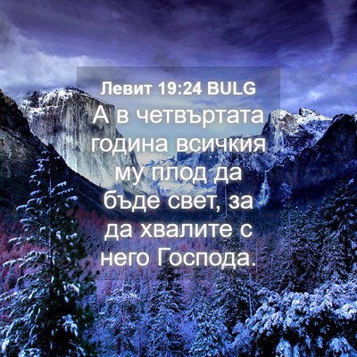 Picture 04 - Левит 19:24 BULG - А в четвъртата година - Bible Verse Picture