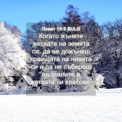 Picture 04 - Левит 19:9 BULG - Когато жънете жетвата на - Bible Verse Picture