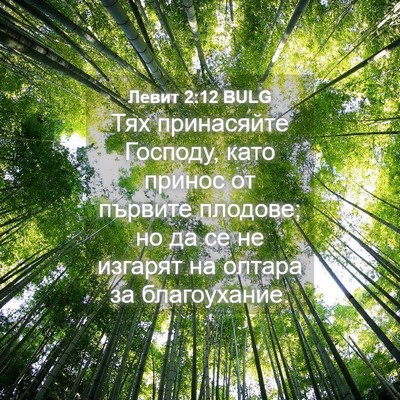 Picture 04 - Левит 2:12 BULG - Тях принасяйте Господу, - Bible Verse Picture