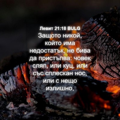 Picture 04 - Левит 21:18 BULG - Защото никой, който има - Bible Verse Picture