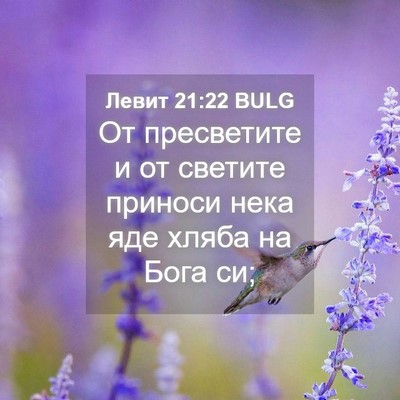 Picture 04 - Левит 21:22 BULG - От пресветите и от светите - Bible Verse Picture
