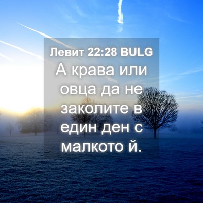 Picture 04 - Левит 22:28 BULG - А крава или овца да не - Bible Verse Picture