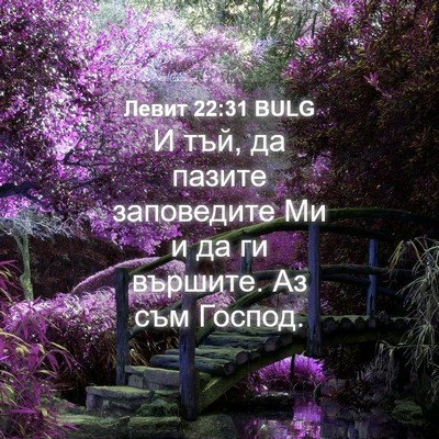 Picture 04 - Левит 22:31 BULG - И тъй, да пазите заповедите - Bible Verse Picture