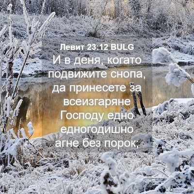 Picture 04 - Левит 23:12 BULG - И в деня, когато подвижите - Bible Verse Picture