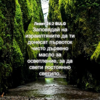 Picture 04 - Левит 24:2 BULG - Заповядай на израилтяните - Bible Verse Picture