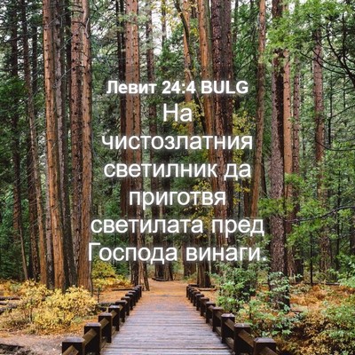 Picture 04 - Левит 24:4 BULG - На чистозлатния светилник - Bible Verse Picture