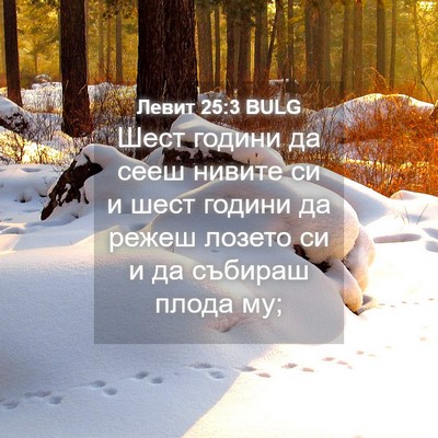 Picture 04 - Левит 25:3 BULG - Шест години да сееш нивите - Bible Verse Picture