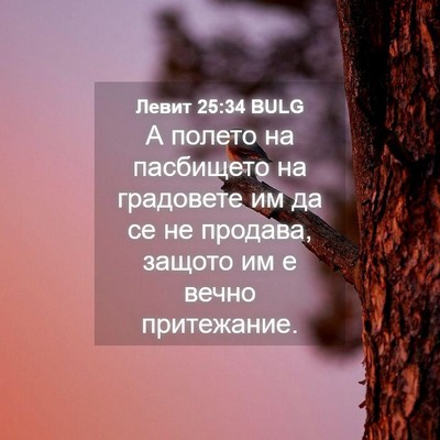 Picture 04 - Левит 25:34 BULG - А полето на пасбището на - Bible Verse Picture