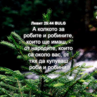 Picture 04 - Левит 25:44 BULG - А колкото за робите и - Bible Verse Picture