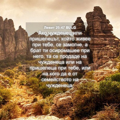 Picture 04 - Левит 25:47 BULG - Ако чужденец или - Bible Verse Picture